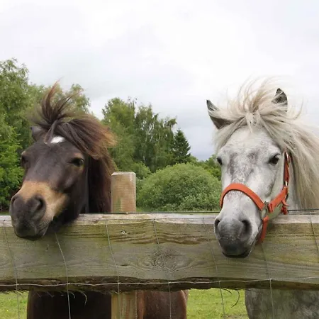 Feriehus Homes - Insel Ruegen 3073 *