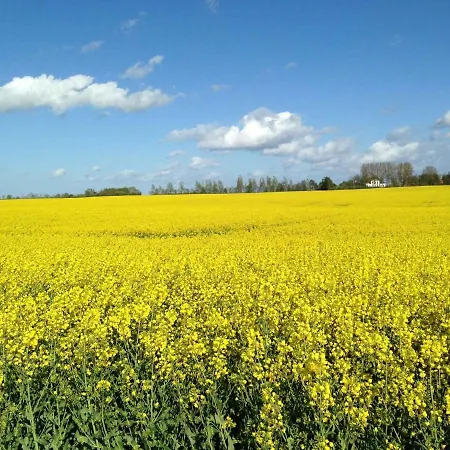 Homes - Insel Ruegen 3073 Feriehus Puddemin