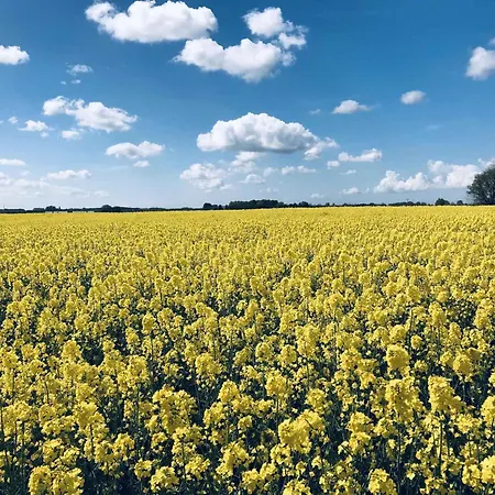 Homes - Insel Ruegen 3073 Puddemin