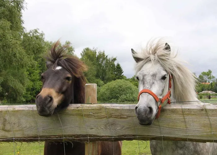Hébergement de vacances Homes - Insel Ruegen 3073 *