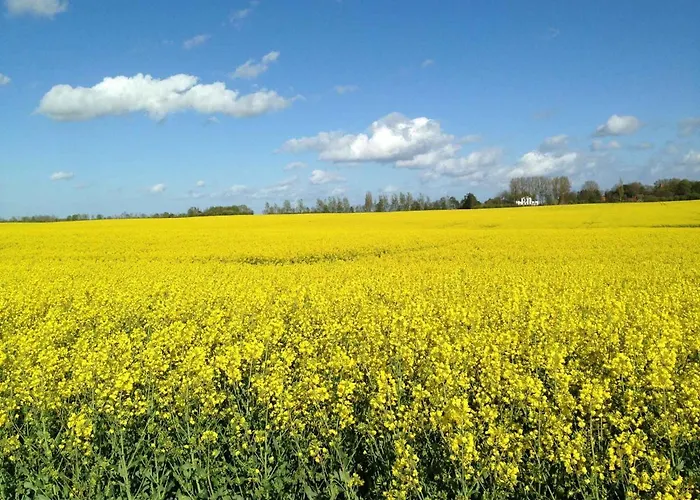 Homes - Insel Ruegen 3073 Hébergement de vacances Puddemin