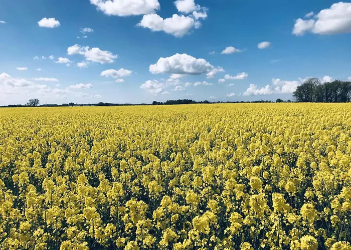 Homes - Insel Ruegen 3073 Puddemin